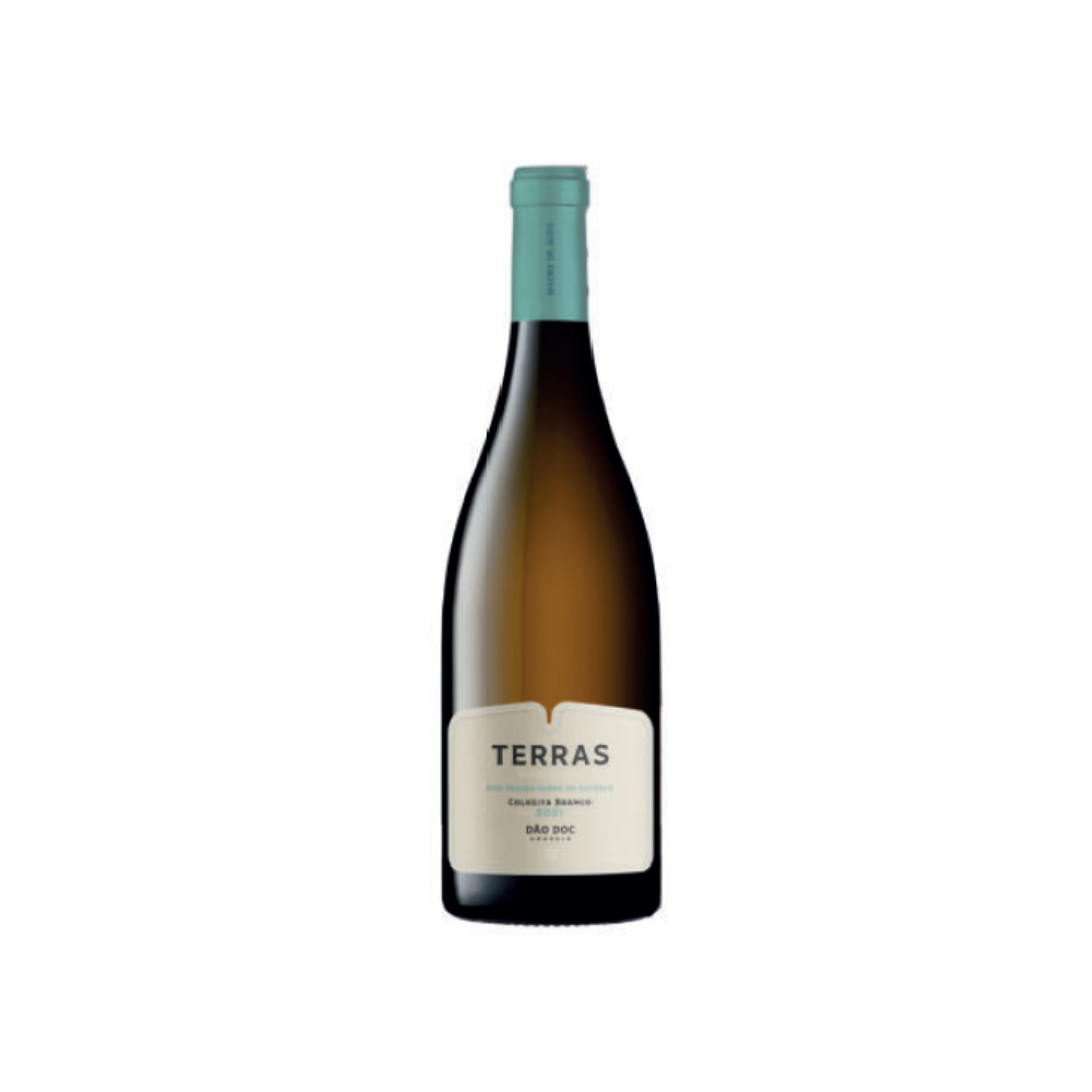 Vinho Terras Madre de Água Colheita Branco