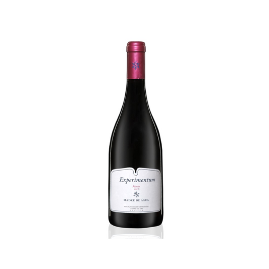 Vinho Madre de Água Experimentum Merlot Tinto