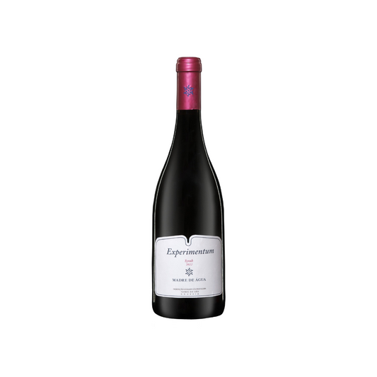 Vinho Madre de Água Experimentum Syrah Tinto