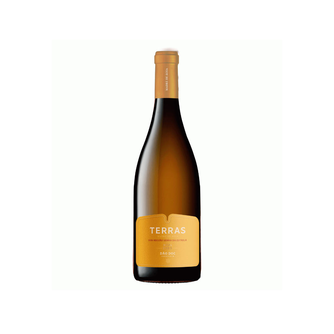 Vinho Terras Madre de Água Bical Branco